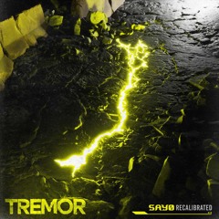 Dimitri Vegas, Martin Garrix, Like Mike - Tremor (Sayo Recalibrated)