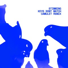Stimming - Keys Don't Match (Camulet Remix)