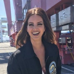 Lana Del Rey Vs Avicii - Sumertime Sadness Vs Seek Bromance (Jamieson Edit)