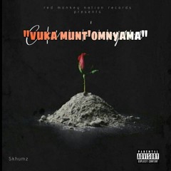 Vuka munt'omnyama (1).mp3