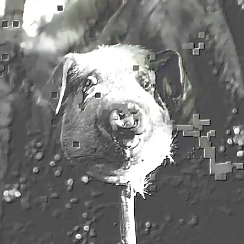 الُ الألباب ٧ | olo alalbab 7