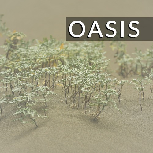 Oasis (Instrumental)