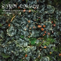 Kora Sounds #2 w/ Børre & Peder Mannerfelt (15/09/24)