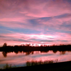forniX - the sky was pink 0.1