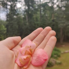 In Your Hand