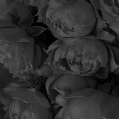 Nadir Rustamli - Fade To Black