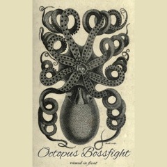 Octopus Bossfight ( Free DL Thanks for 900)