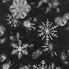 Cold War (prod. by eriq beatz)