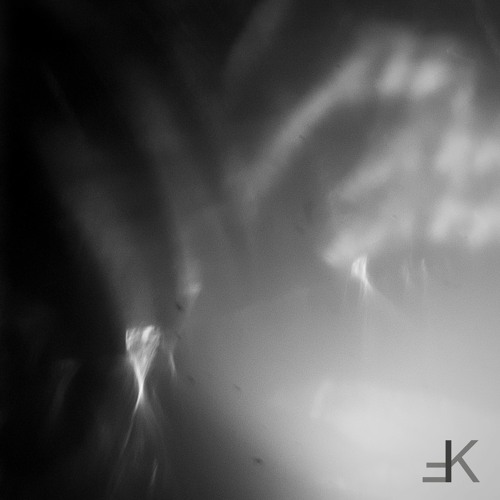 Premiere: Øbsidiaän — Paralarvae [Feinkost]