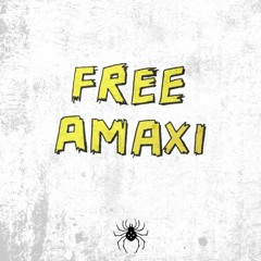 2.- Free Amaxi - 1312
