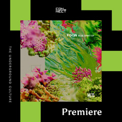 PREMIERE: FGON - In The Air [Mind Connector]