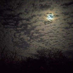 In The Night / Gumi ver. demo1