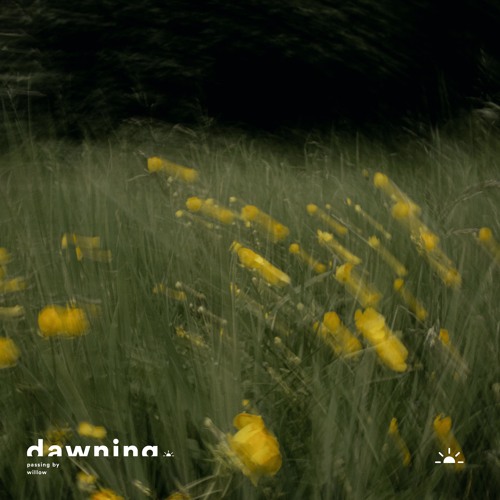 Willow - Passing By