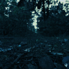 the day it all happened.wav