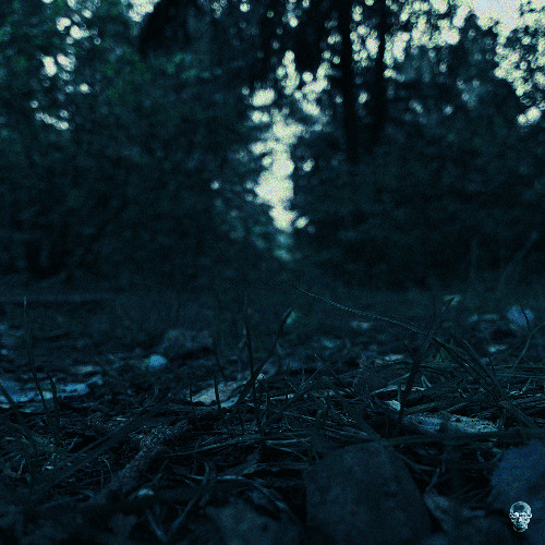 the day it all happened.wav