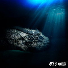 PVNFL G36 - ESLI HOCHESH