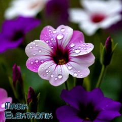 Dewdrops in the morning