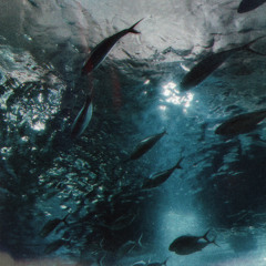 Je Te Trǒuverai Partǒut