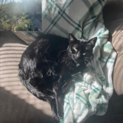 ShiverNovai x iMMOtURE - î̈ dont likê̈ this namě̈