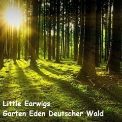 GARTEN EDEN DEUTSCHER WALD - Text Viktor Weber - Ein Wanderlied zum Mitsingen