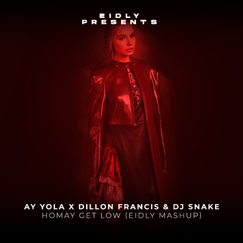 AY YOLA X Dillon Francis & DJ Snake - Homay Get Low (Eidly Mashup)[CUT Filtered & Pitched]
