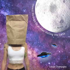 Honest Message to an Alien Visiting the Earth