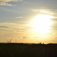 I TRy feat Patricia Edwards