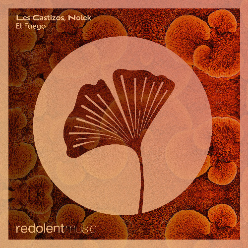 Les Castizos, Nolek - El Fuego (Radio Edit)