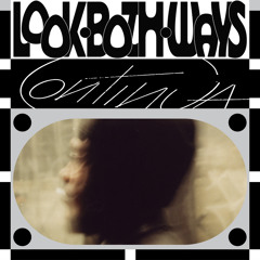 Look Both Ways (feat. Pink Siifu)