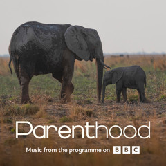 Go Steady (From BBC's Parenthood)