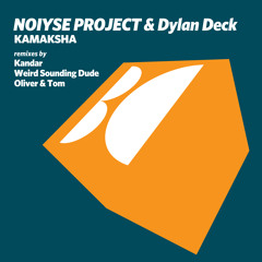 Noiyse project