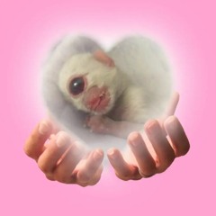 newborn