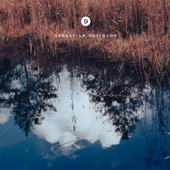 Voyage of Discovery 194