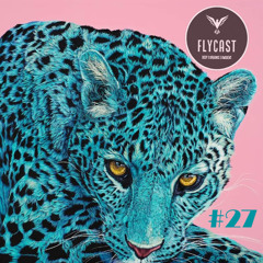 Flycast #27