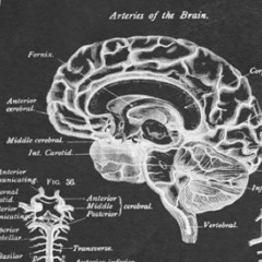 Real niggas play Chess - Soundmind45