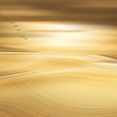 Golden Breath (7 Mins)