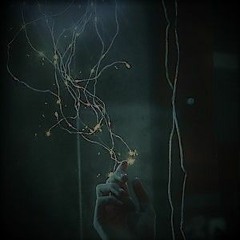 Psybient