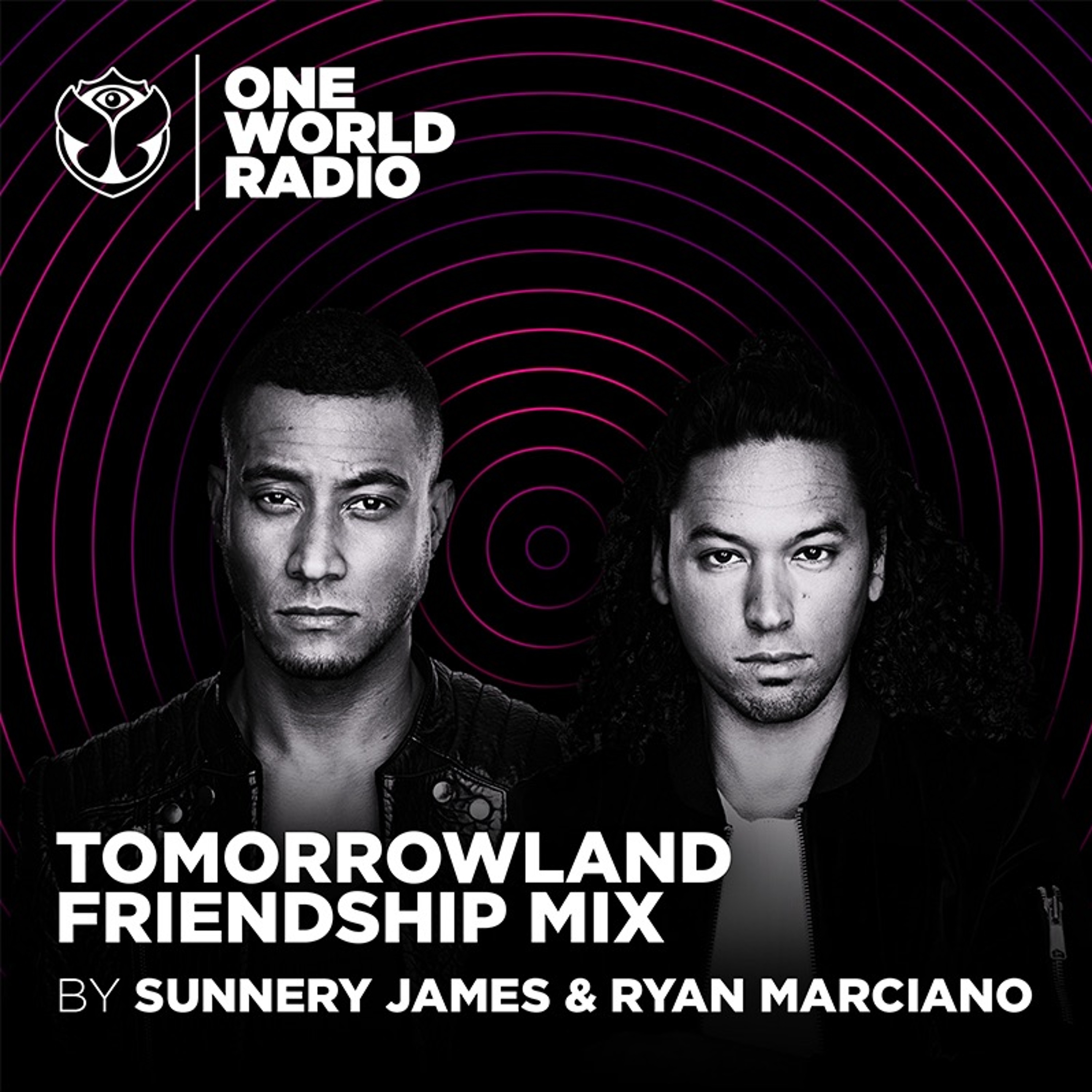 Tomorrowland Friendship Mix