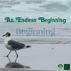 Beginning
