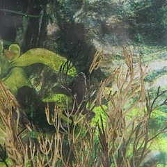 Billie Jean? ft. 裏命 - 21 Clown