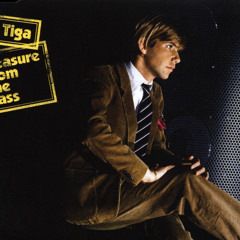 Pleasure from the Bass (Radio Edit)