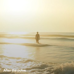 after-the-pulse-(before-the-pulpe-).