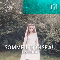 Sommeil d'oiseau -OSSLDDC [26.03.2025]