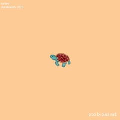 turtles [prod. by black ear$]