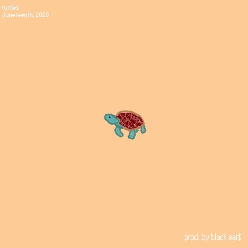 turtles [prod. by black ear$]