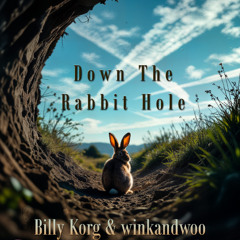 Down The Rabbit Hole - Billy Korg & winkandwoo