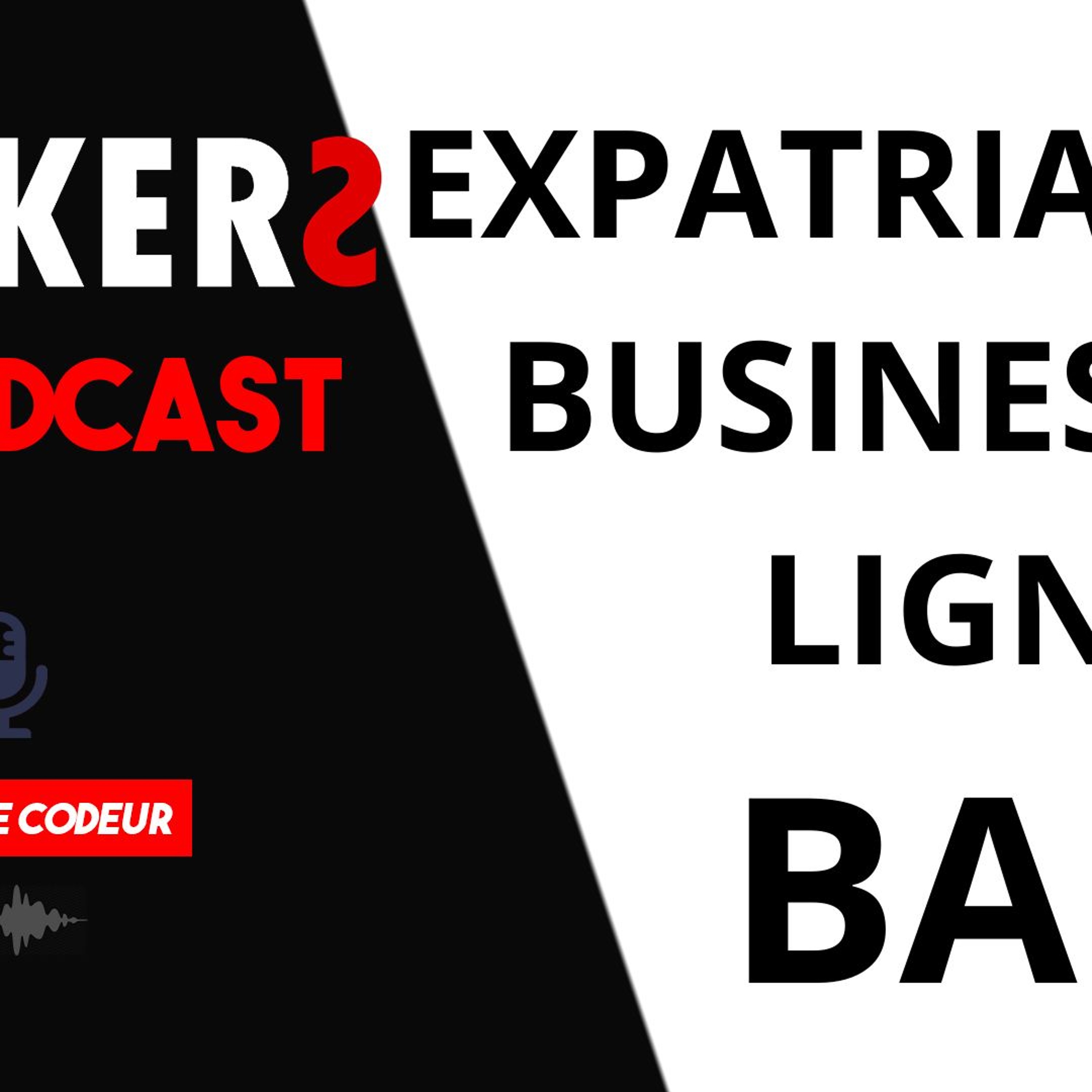 Hackers : Le Podcast de Mike Codeur