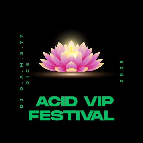 DJ D.A.M.S.77 DICE ACID VIP FESTIVAL 2025