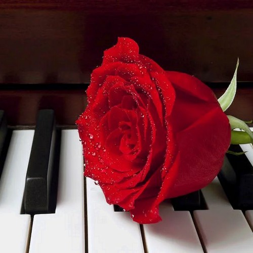 johncalliano music for video background free 🎲FREE DOWNLOAD