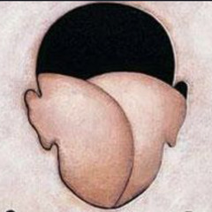 ferdydurke streszczenie w minute